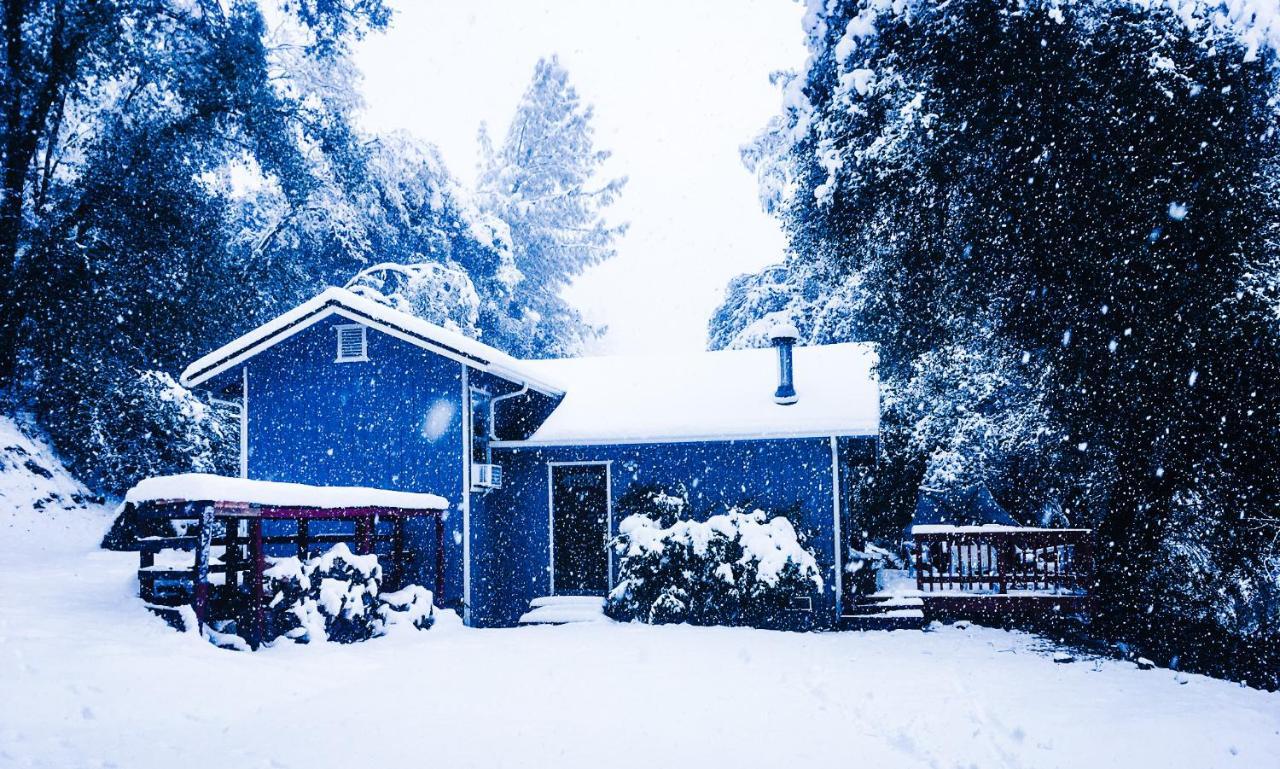 Willa NEW! Cozy & Secluded House w/Deck - Near Yosemite! Tuolumne Zewnętrze zdjęcie