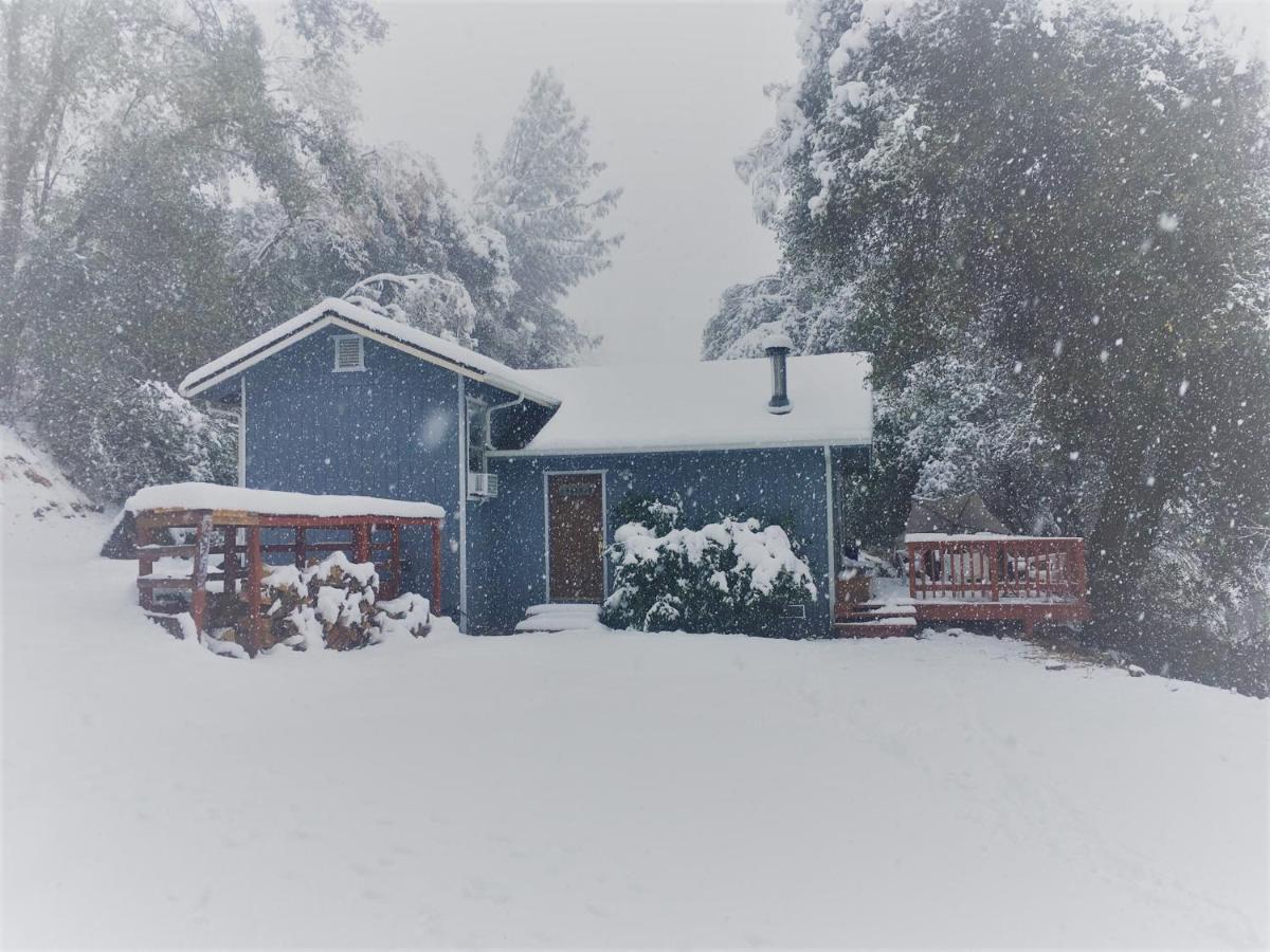 Willa NEW! Cozy & Secluded House w/Deck - Near Yosemite! Tuolumne Zewnętrze zdjęcie